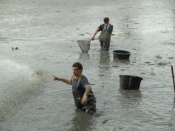 Abfischen 2006